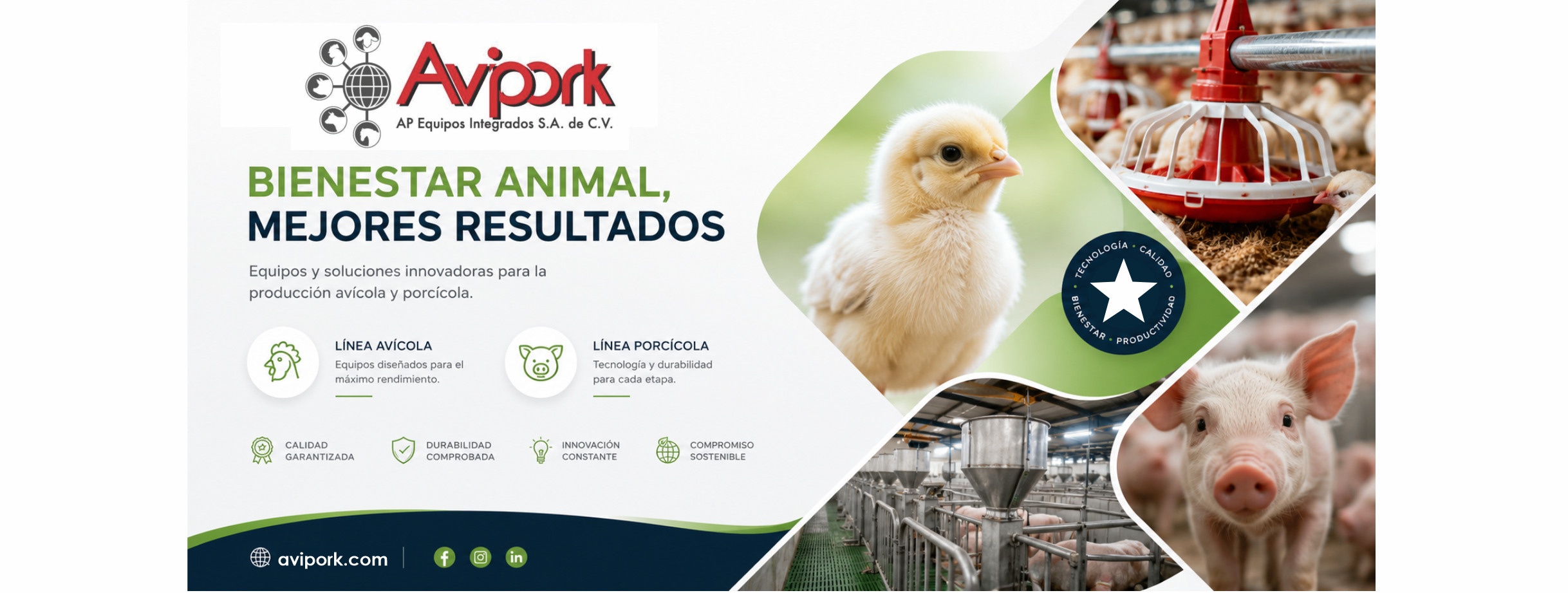 Avipork cCommerce